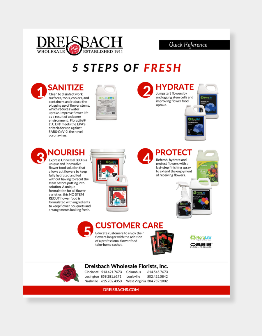 QR - 5 Steps of Fresh