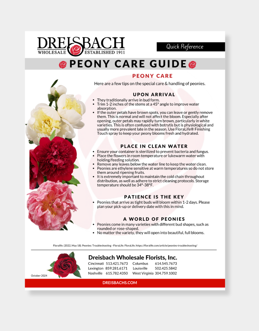 Peony Care Guide