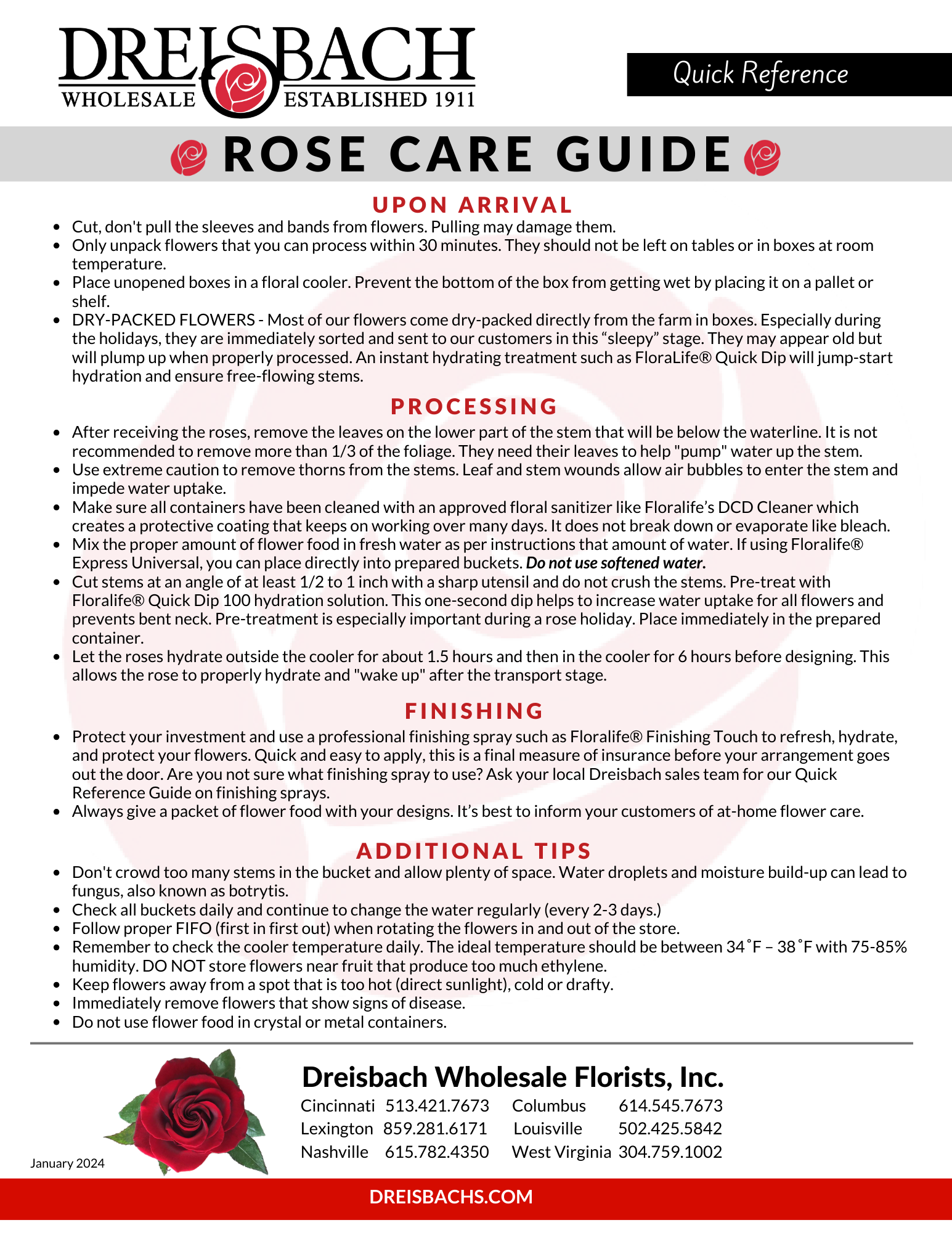 Rose Care Guide