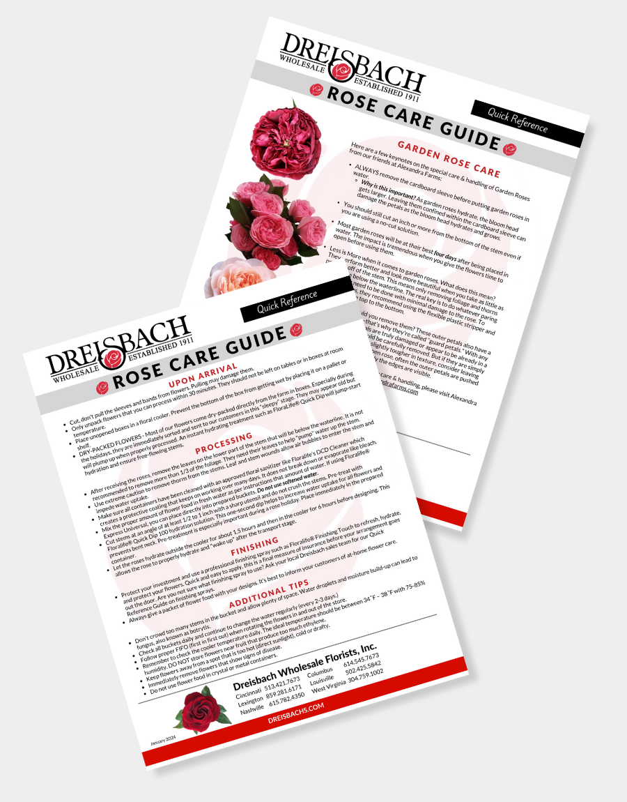 Rose Care Guide